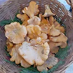 Ristorante Sturno San Menaio