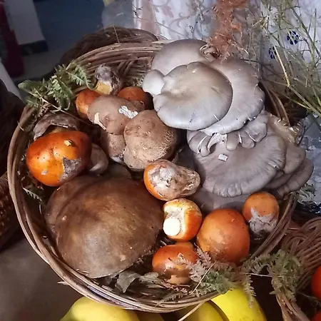 Ristorante Sturno