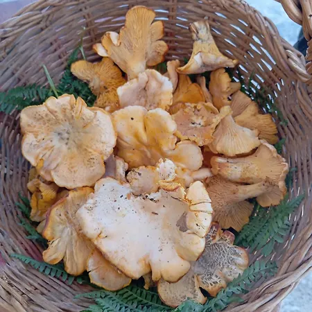 Ristorante Sturno San Menaio
